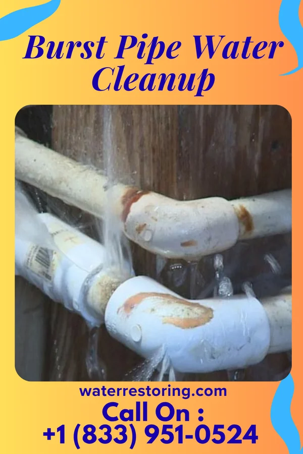 Burst Pipe Water Cleanup in North Terre Haute, IN