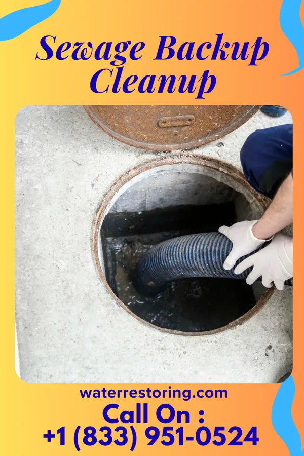 Sewage Backup Cleanup in North Terre Haute, IN