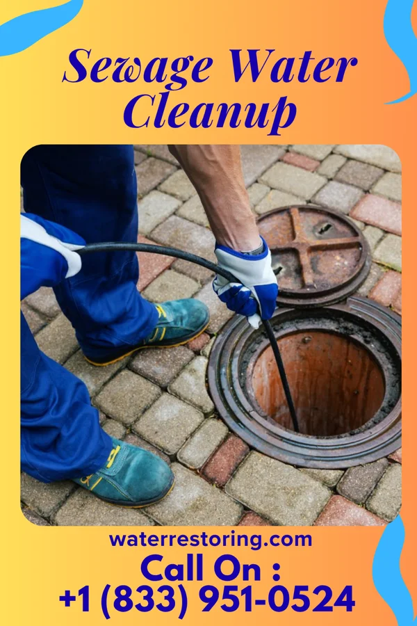 Sewage Water Cleanup in North Terre Haute, IN