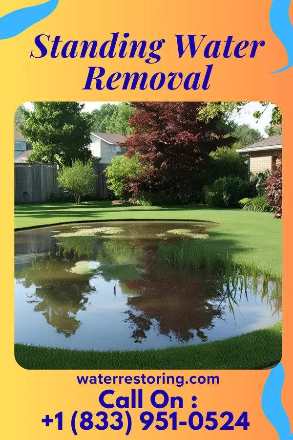 Standing Water Removal in North Terre Haute, IN